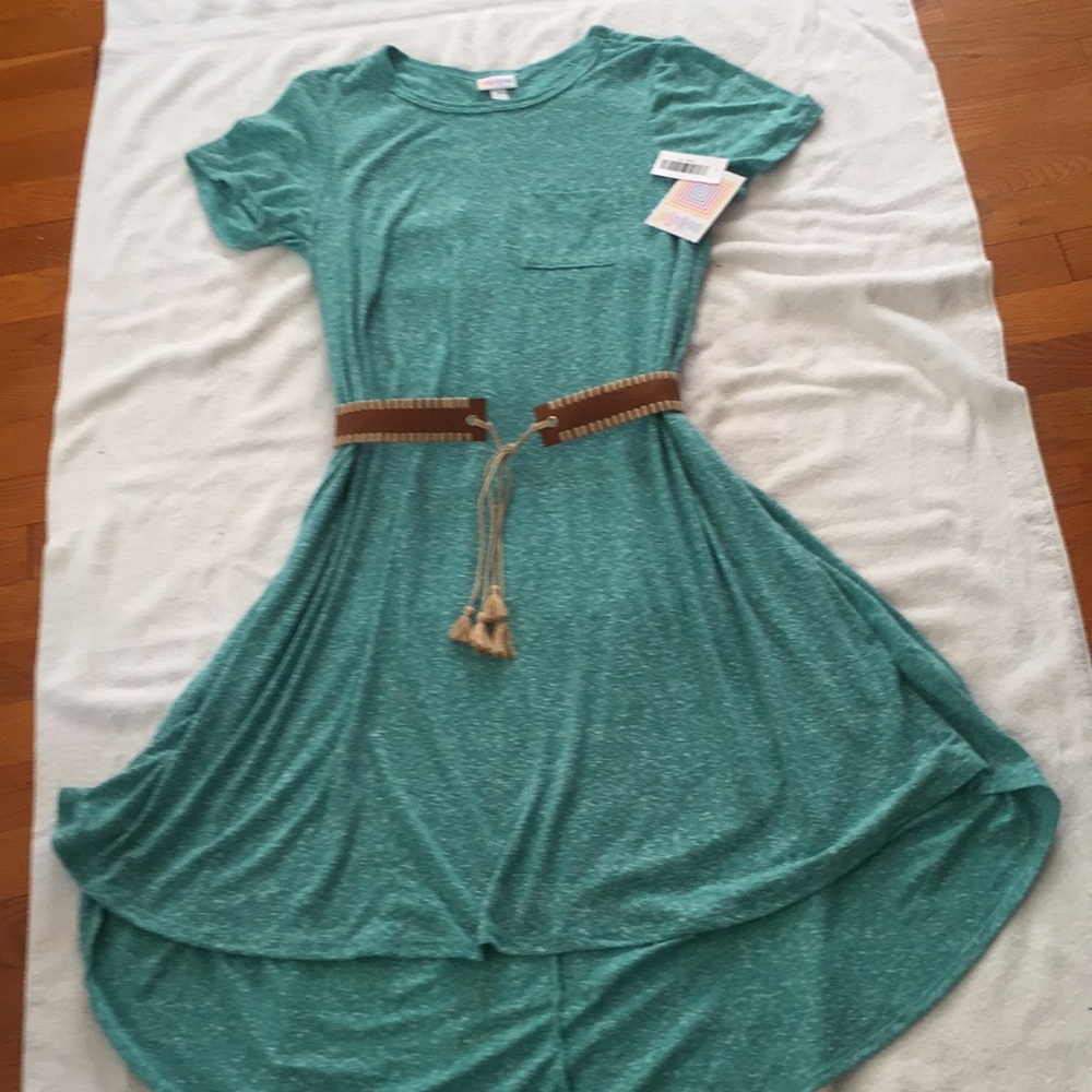 LuLaRoe Carly!  Mint green.